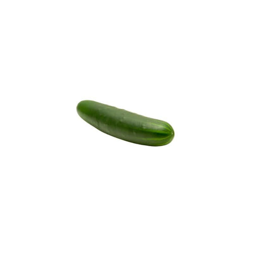 Fresh local Cucumbers per kg at zucchini